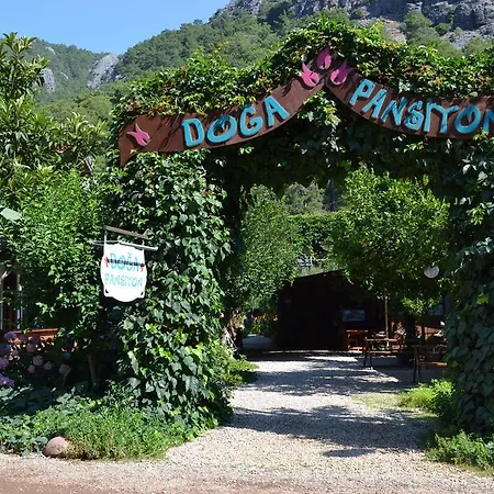 Alojamento de Turismo Selvagem Doga *