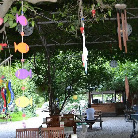 Lodge Doga Olympos