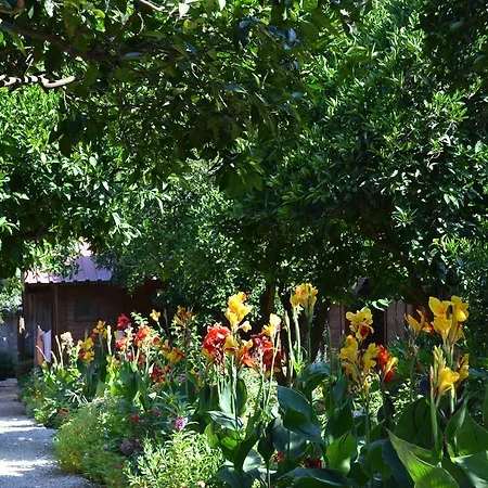 Doga Lodge Olympos