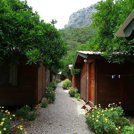 Lodge Doga *